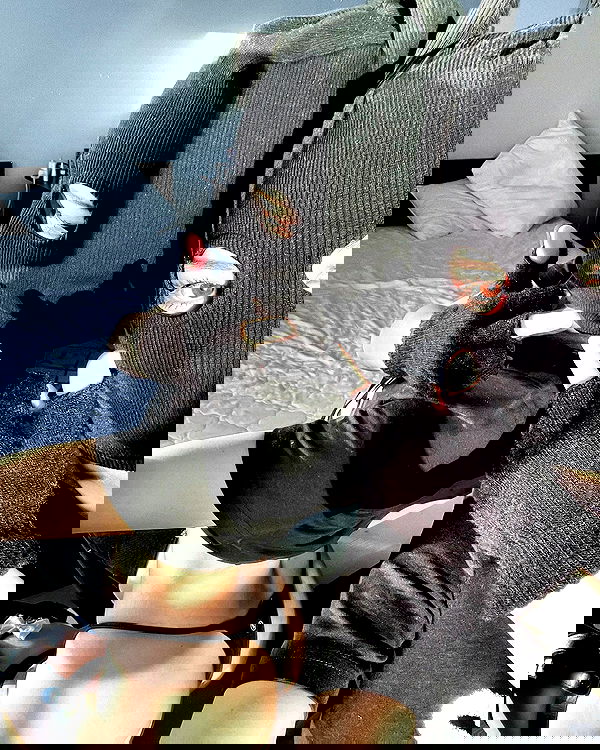 ninja.vi ninja.vi archive image