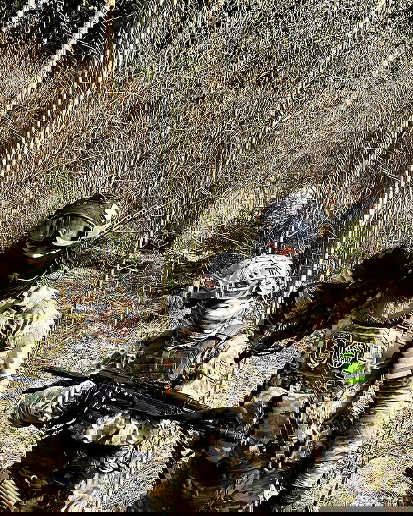 ninja.vi ninja.vi archive image