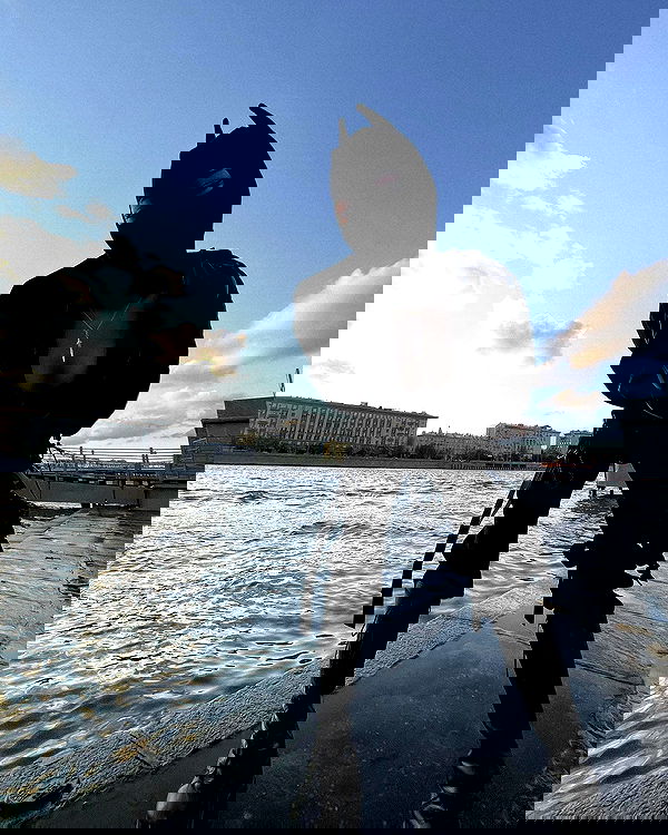 ninja.vi ninja.vi archive image