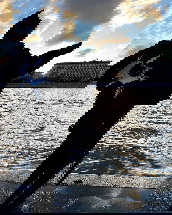 ninja.vi ninja.vi archive image