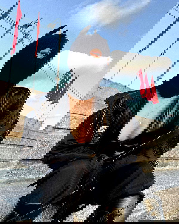 ninja.vi ninja.vi archive image