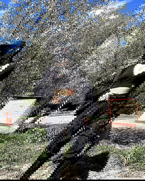 ninja.vi ninja.vi archive image