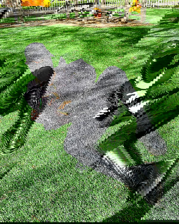 ninja.vi ninja.vi archive image