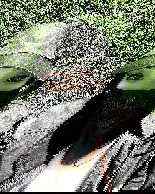 ninja.vi ninja.vi archive image