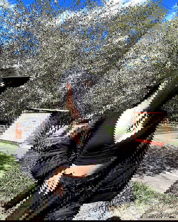 ninja.vi ninja.vi archive image