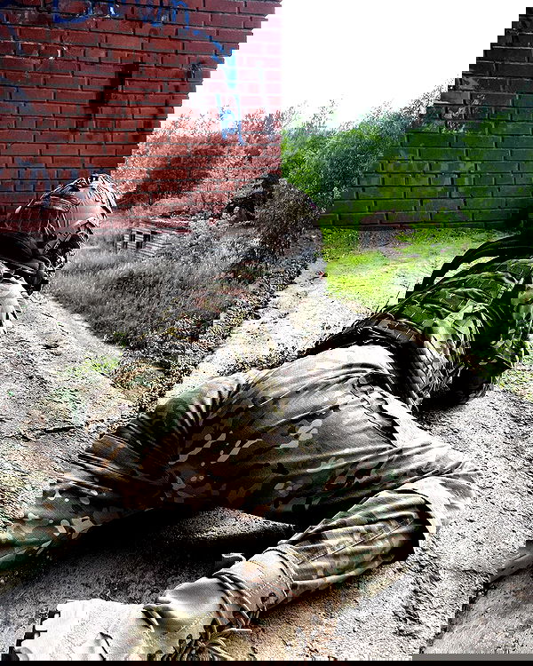 ninja.vi ninja.vi archive image