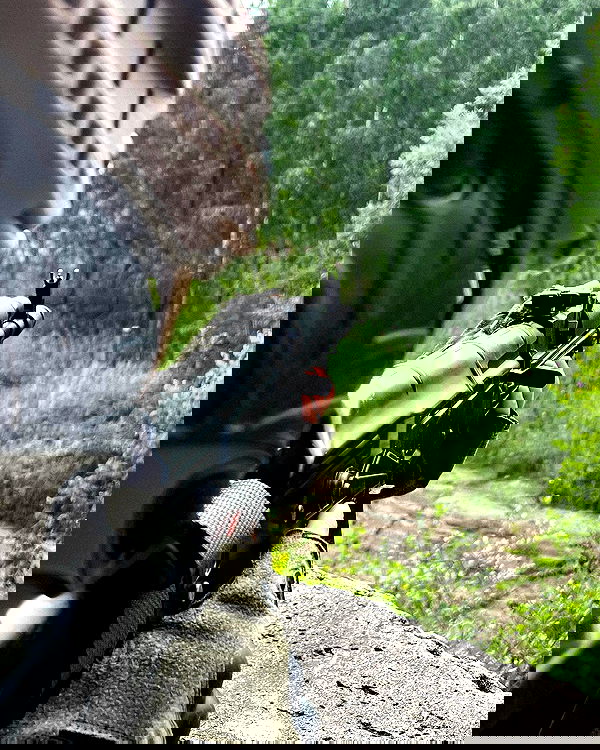 ninja.vi ninja.vi archive image