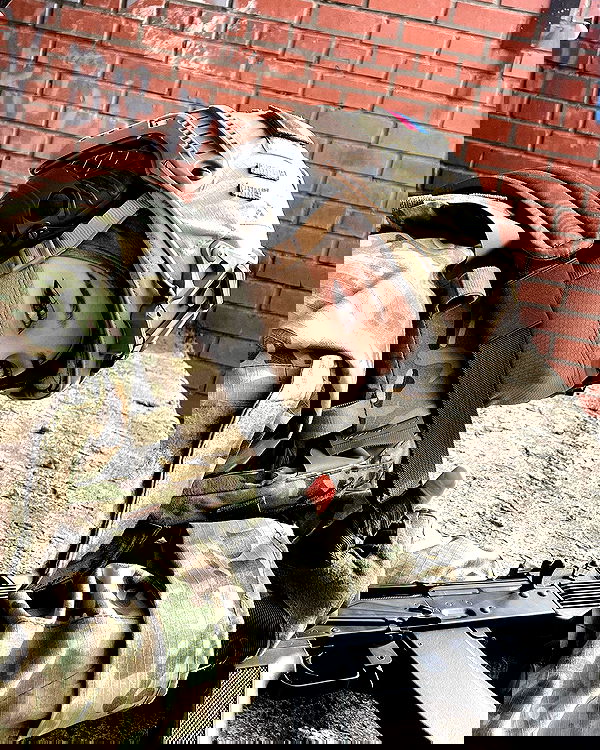 ninja.vi ninja.vi archive image