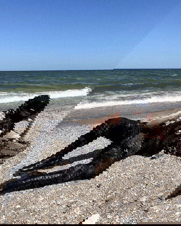 ninja.vi ninja.vi archive image