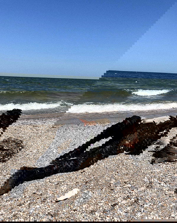 ninja.vi ninja.vi archive image