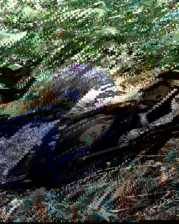 ninja.vi ninja.vi archive image