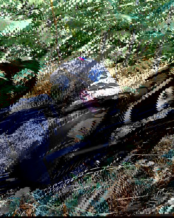 ninja.vi ninja.vi archive image