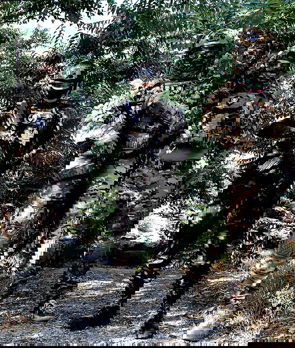 ninja.vi ninja.vi archive image