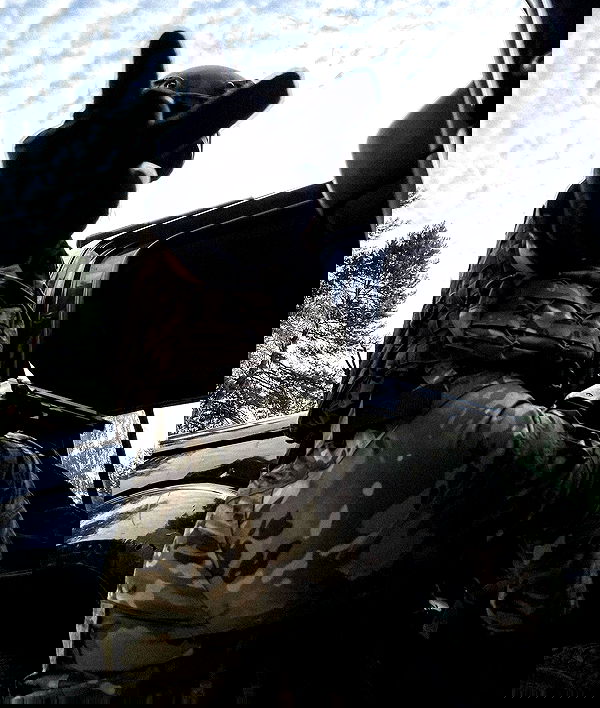 ninja.vi ninja.vi archive image