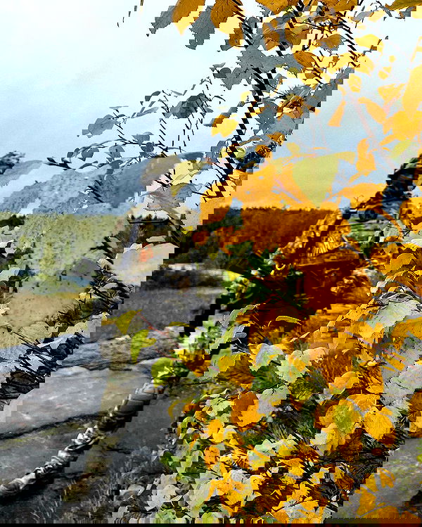 ninja.vi ninja.vi archive image