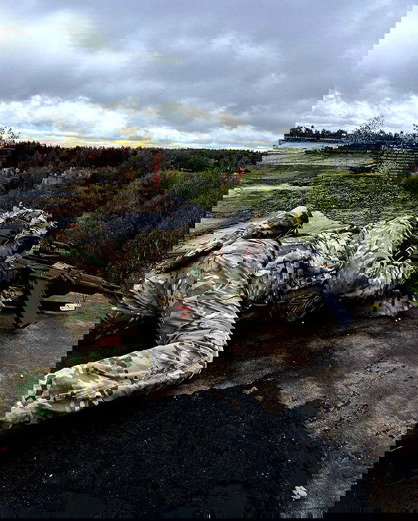 ninja.vi ninja.vi archive image