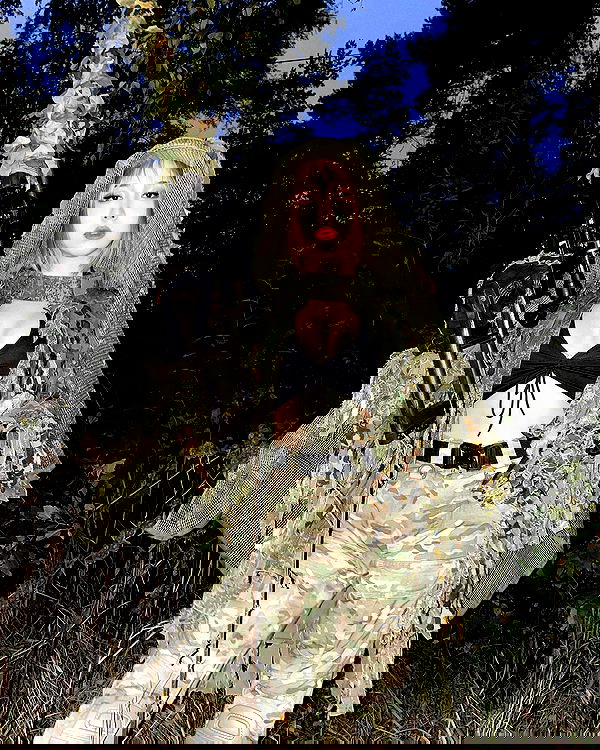 ninja.vi ninja.vi archive image