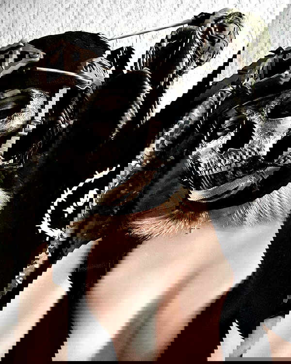 ninja.vi ninja.vi archive image