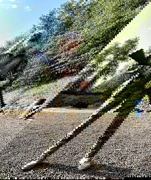 ninja.vi ninja.vi archive image