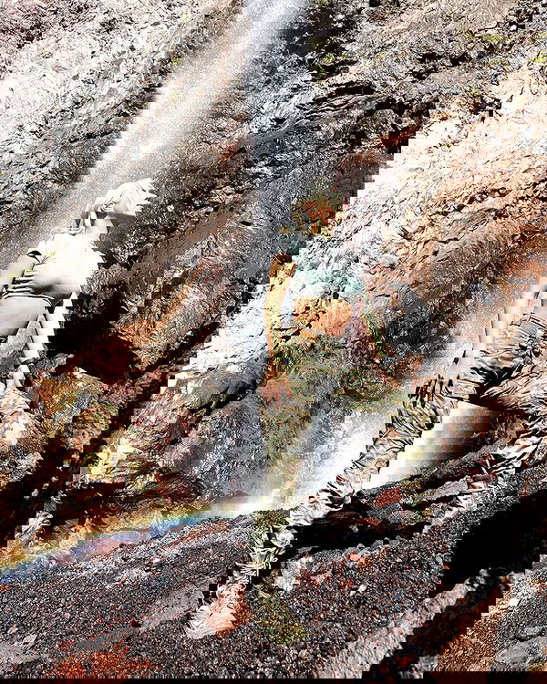 ninja.vi ninja.vi archive image