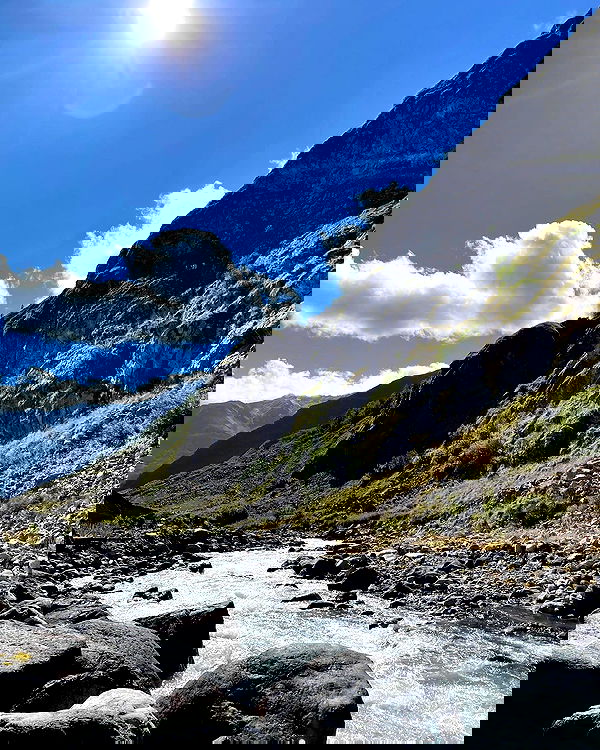 ninja.vi ninja.vi archive image