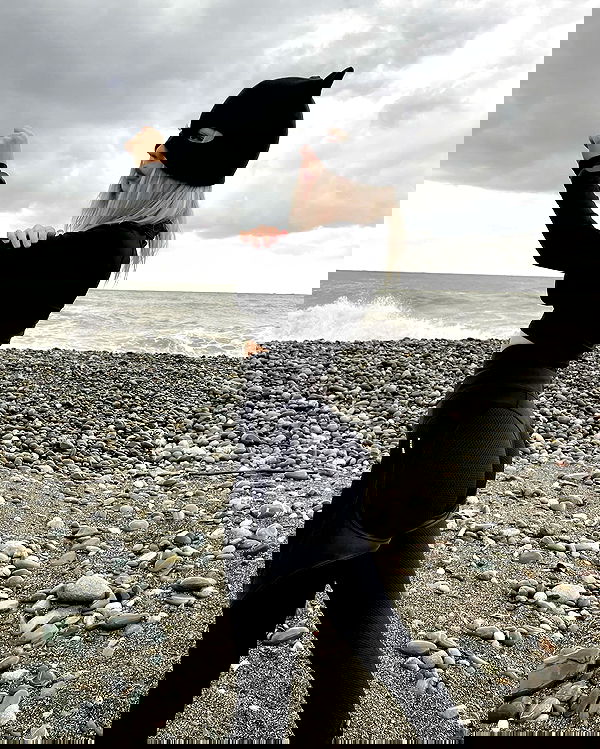 ninja.vi ninja.vi archive image