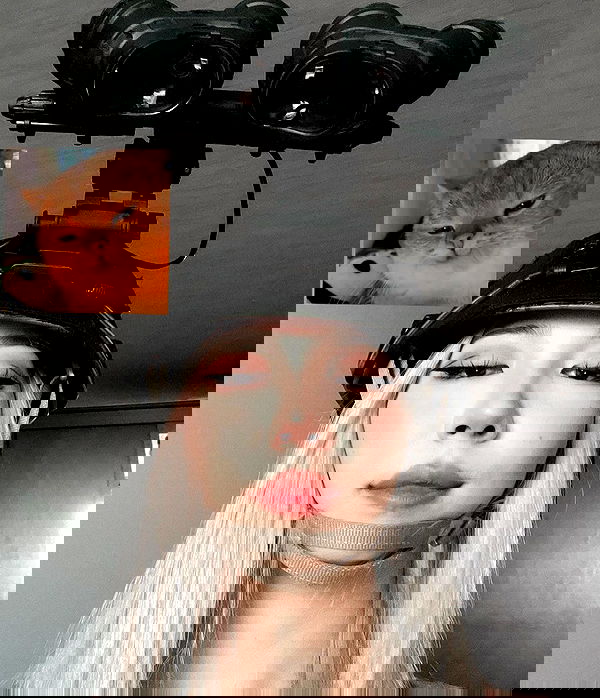 ninja.vi ninja.vi archive image