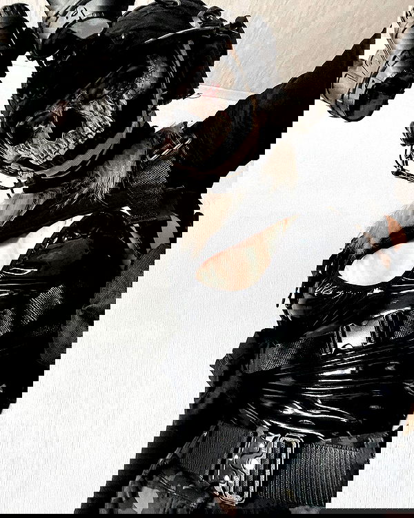 ninja.vi ninja.vi archive image