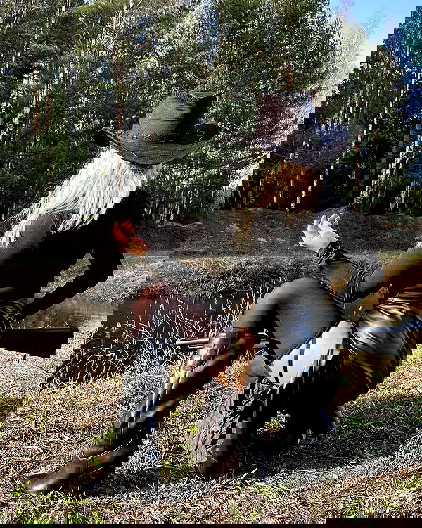 ninja.vi ninja.vi archive image