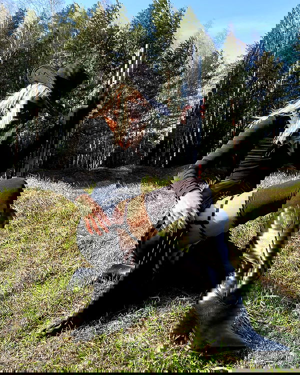 ninja.vi ninja.vi archive image