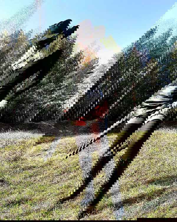 ninja.vi ninja.vi archive image