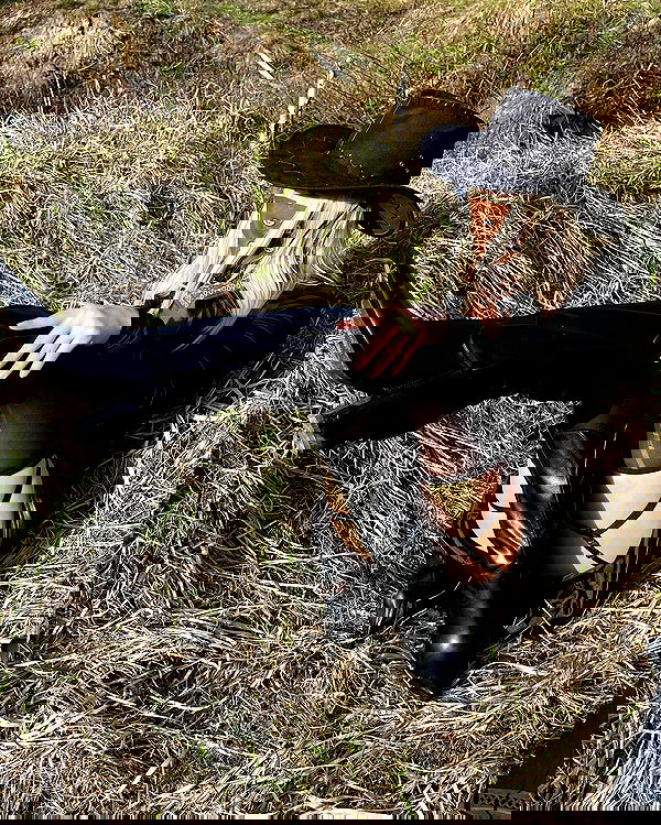 ninja.vi ninja.vi archive image