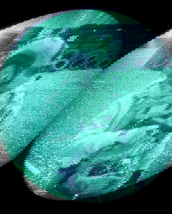 ninja.vi ninja.vi archive image