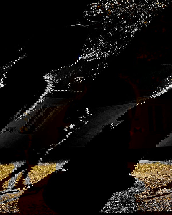 ninja.vi ninja.vi archive image