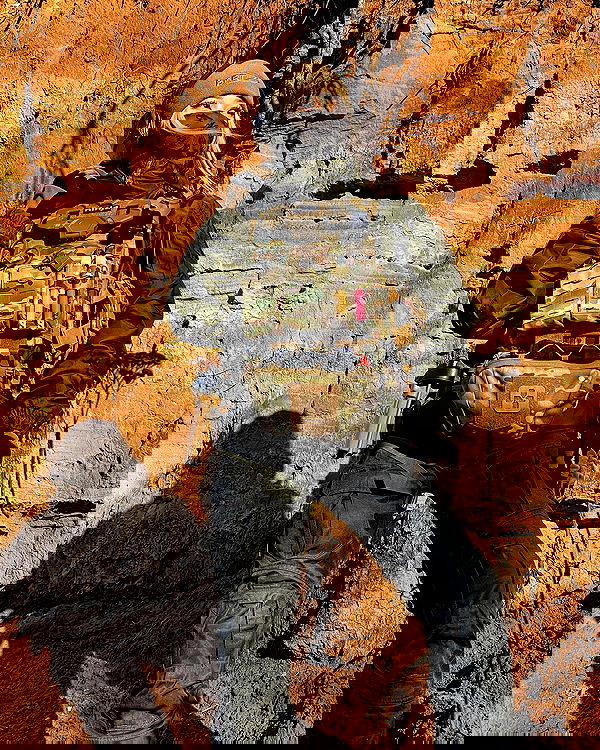 ninja.vi ninja.vi archive image