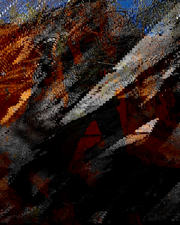 ninja.vi ninja.vi archive image