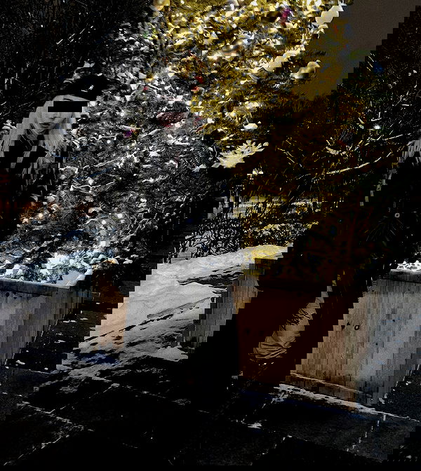 ninja.vi ninja.vi archive image