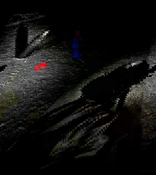 ninja.vi ninja.vi archive image