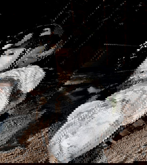 ninja.vi ninja.vi archive image