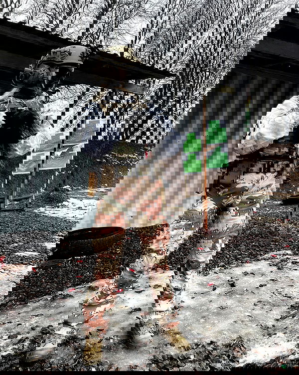 ninja.vi ninja.vi archive image