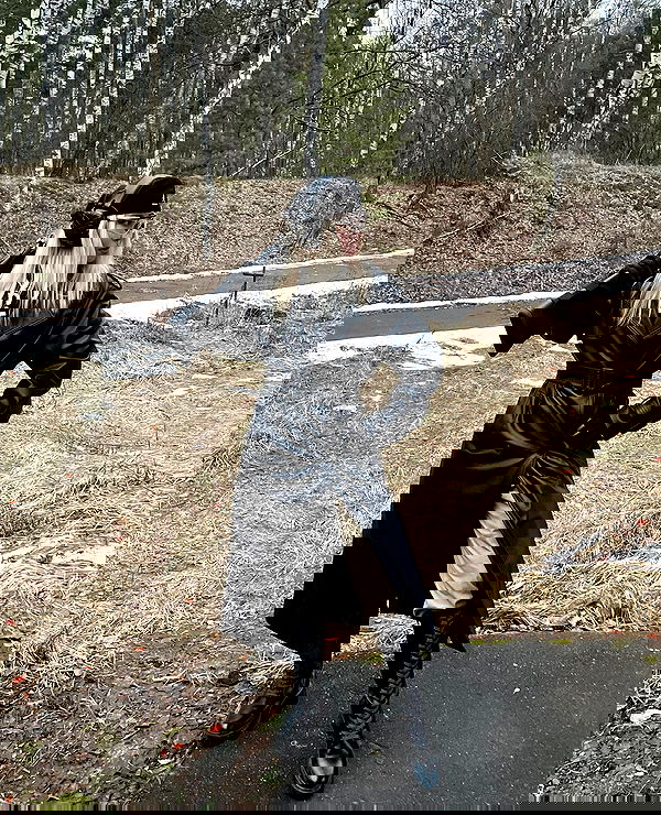 ninja.vi ninja.vi archive image