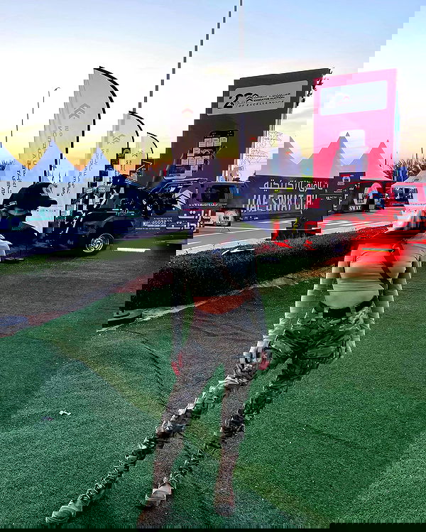 ninja.vi ninja.vi archive image