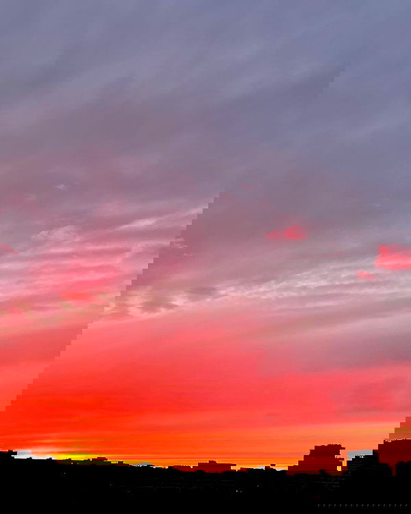 ninja.vi ninja.vi archive image