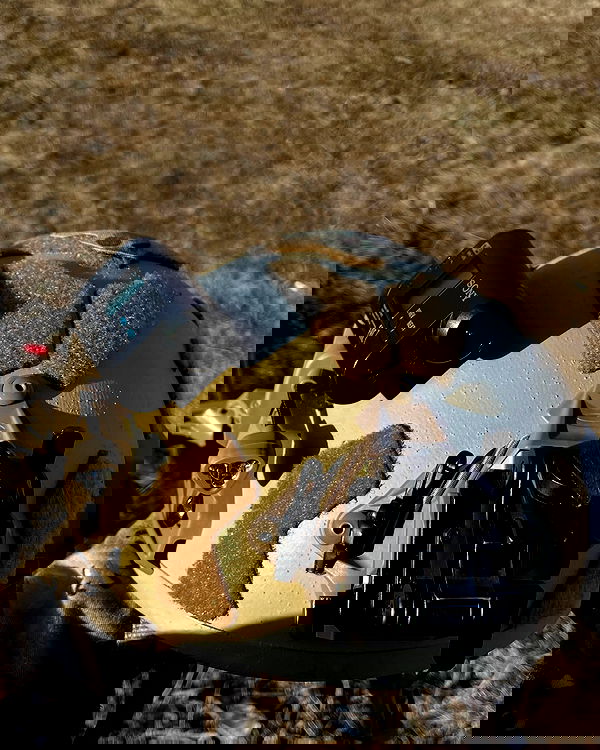 ninja.vi ninja.vi archive image