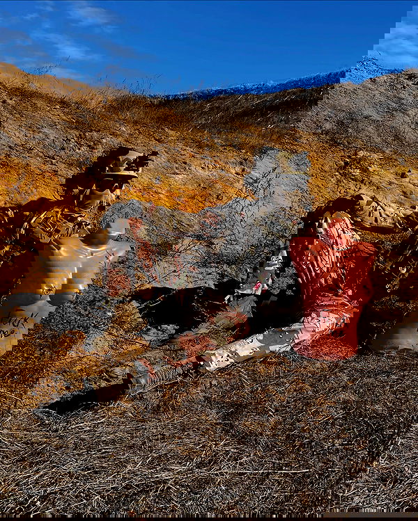 ninja.vi ninja.vi archive image