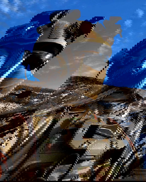 ninja.vi ninja.vi archive image