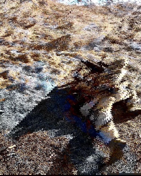 ninja.vi ninja.vi archive image