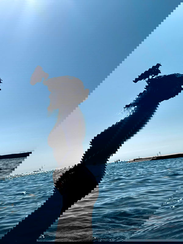 ninja.vi ninja.vi archive image