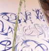 nitza._.n Altpins Profile Picture