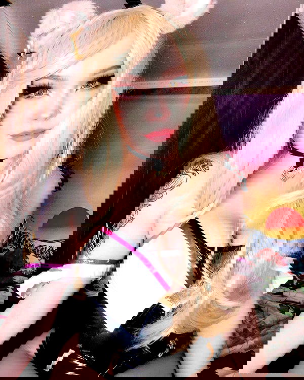 nixxi.cat nixxi.cat archive image